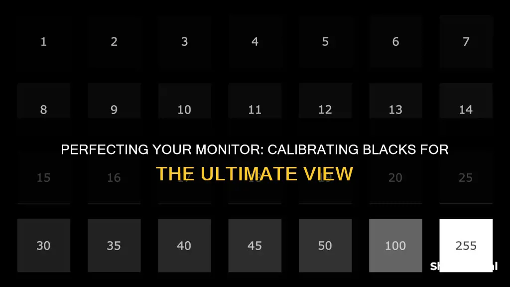 how to calibrate blacks on a monitor