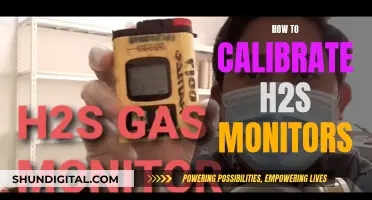 Calibrating H2S Monitors: A Step-by-Step Guide for Accuracy