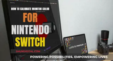 Calibrating Your Nintendo Switch: Perfect Monitor Color Settings