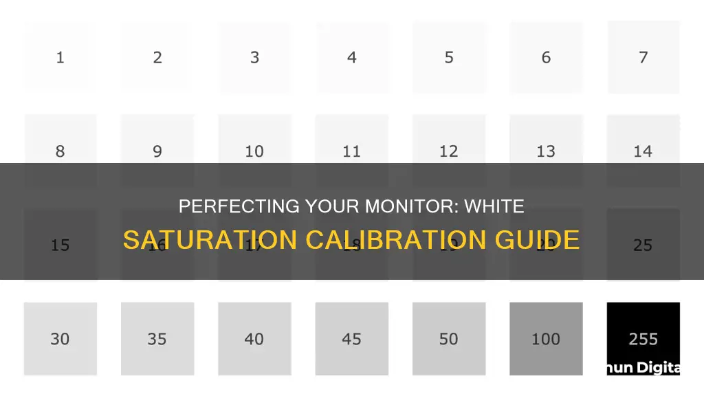 how to calibrate monitor for white saturation