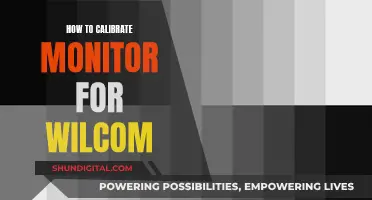 Calibrating Your Monitor for Wilcom: A Step-by-Step Guide