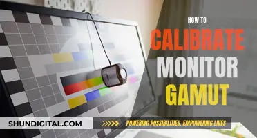 Calibrating Your Monitor: Mastering Color Accuracy and Gamut