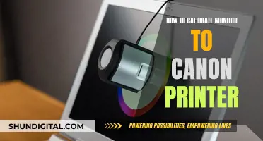 Calibrating Monitors: Matching Canon Prints with On-Screen Colors