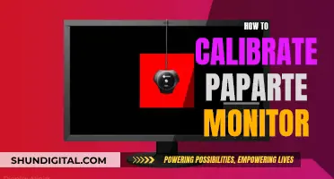 Calibrating Your Monitor: The PapaRte Way