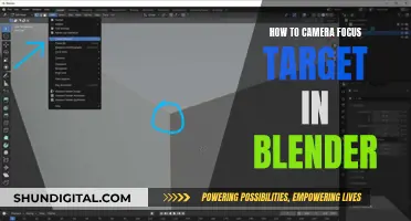 Focusing Camera Targets in Blender: Easy Tips and Tricks