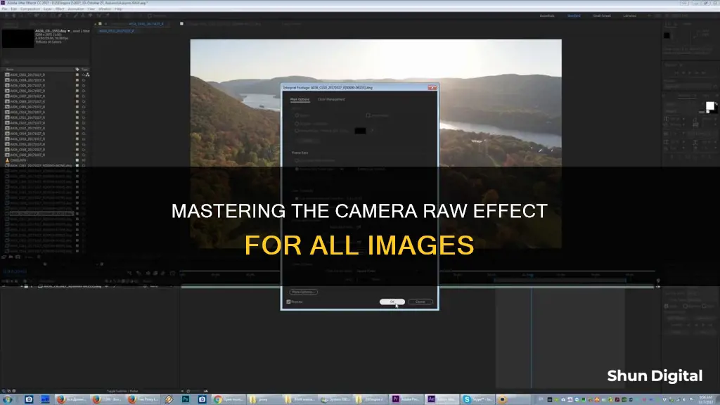 how to camera raw effect applied to all