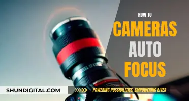 Mastering Auto Focus: The Magic Behind Sharp Camera Images