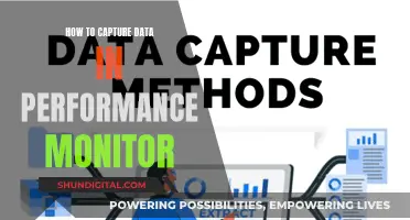 Performance Monitor: Capturing Data for Effective Analysis