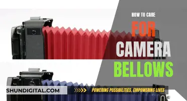 Caring for Camera Bellows: Maintenance Tips for Longevity