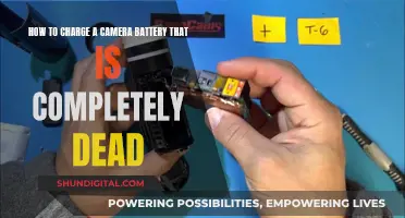 Reviving Your Camera Battery: Charging from Zero