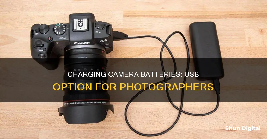 how to charge a camera battery with usb