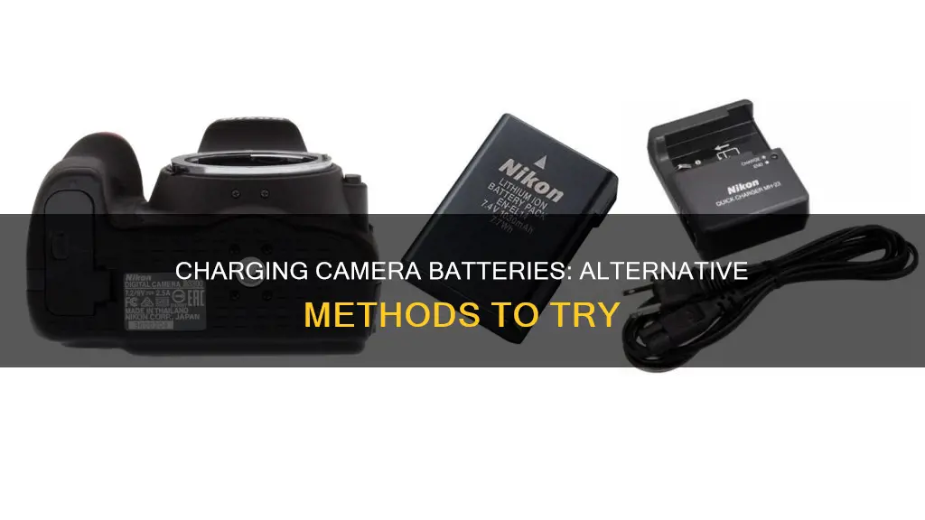 how to charge a camera battery without a charger