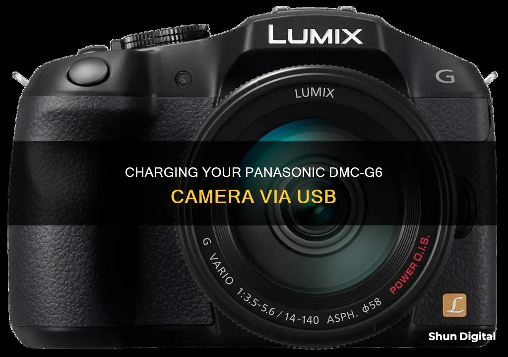 how to charge a panasonic dmc-g6 camera with ysb