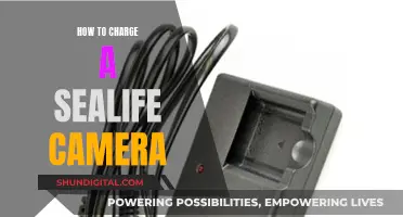 Charging Your SeaLife Camera: A Step-by-Step Guide