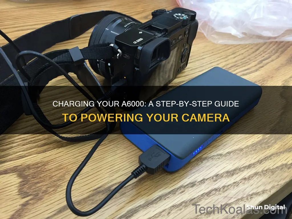 how to charge a6000 camera