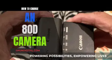 Charging Your Canon 80D: A Quick Guide