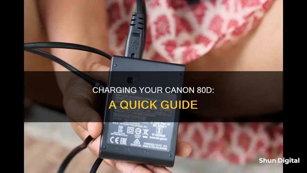 how to charge an 80d camera