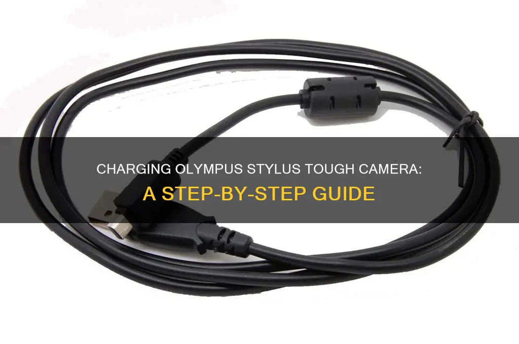 how to charge an olympus stylus tough camera