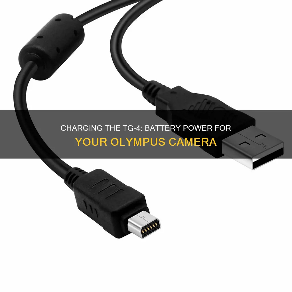 how to charge battery on olympus tough camera tg-4