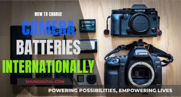 Charging Camera Batteries: International Travel Guide