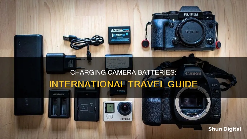 how to charge camera batteries internationally