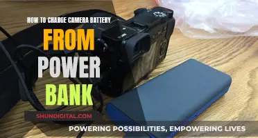 Charging Camera Batteries: Power Bank Essentials