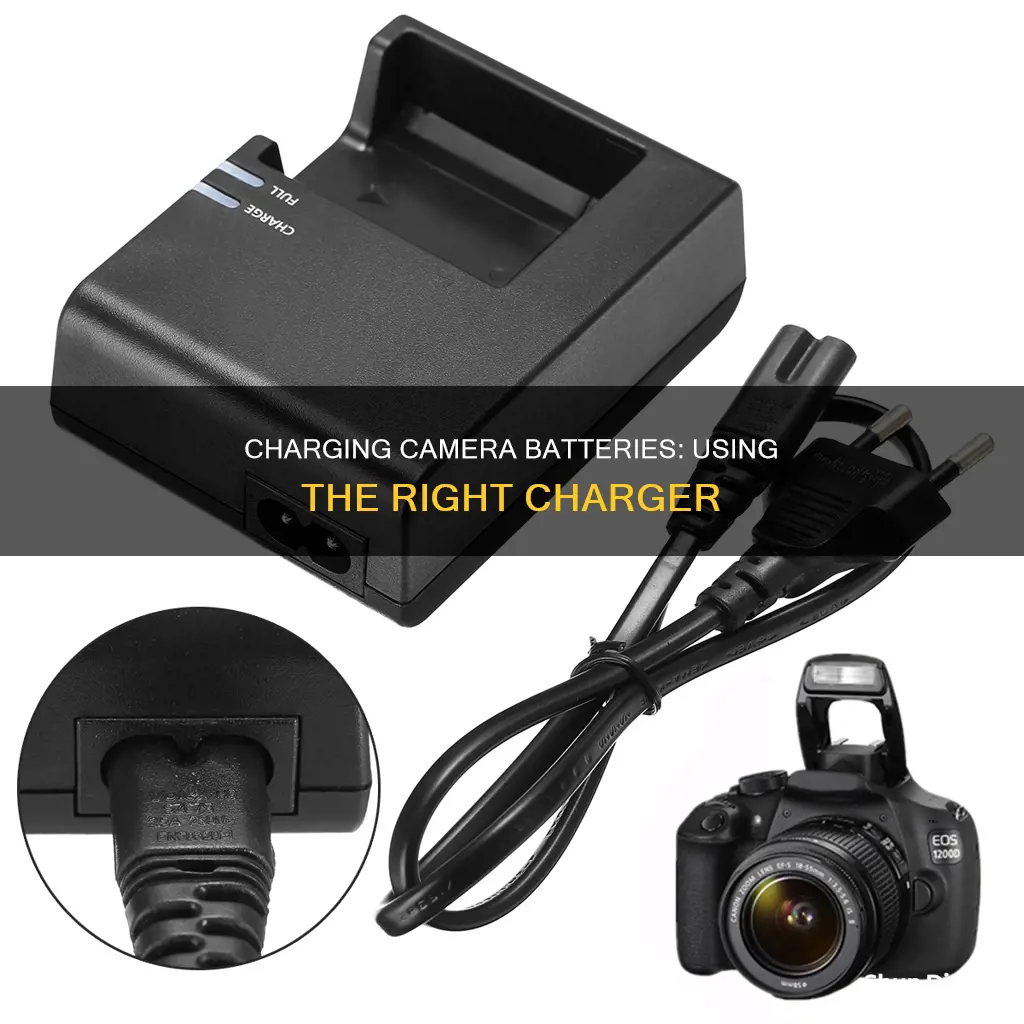 how to charge camera battery with charger