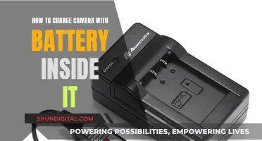 Charging Camera Batteries: A Step-by-Step Guide