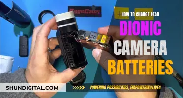 Reviving Dionic Camera Batteries: Charging Tips and Tricks