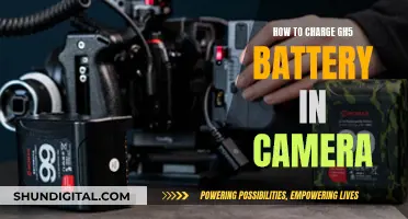 Charging GH5 Batteries: In-Camera Method