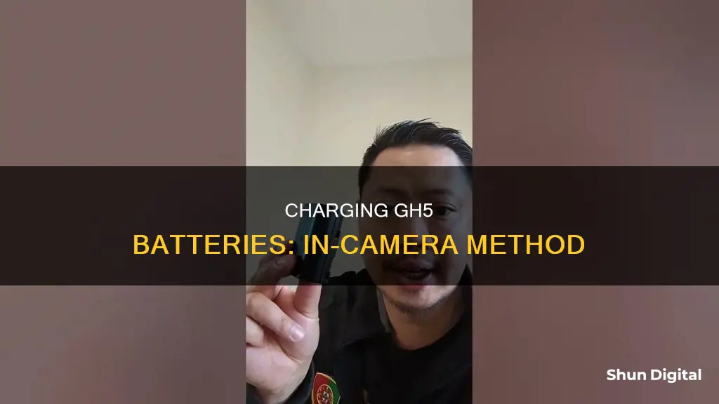 how to charge gh5 battery in camera