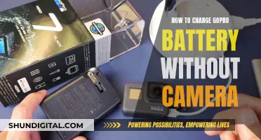 Charging GoPro Batteries: No Camera, No Problem