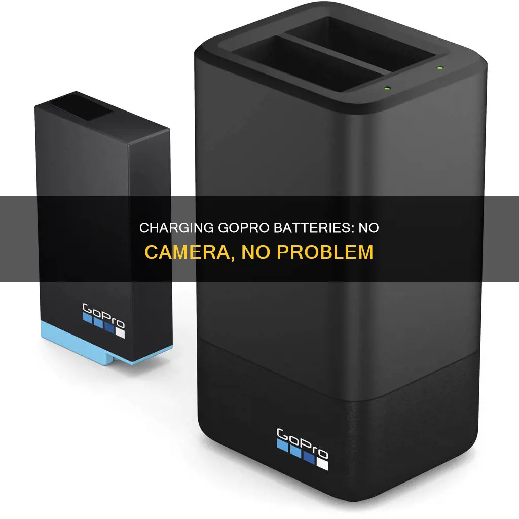 how to charge gopro battery without camera