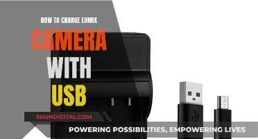 Charging Your Lumix Camera: USB Guide