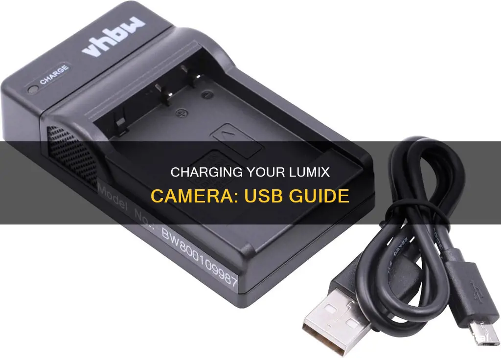 how to charge lumix camera with usb