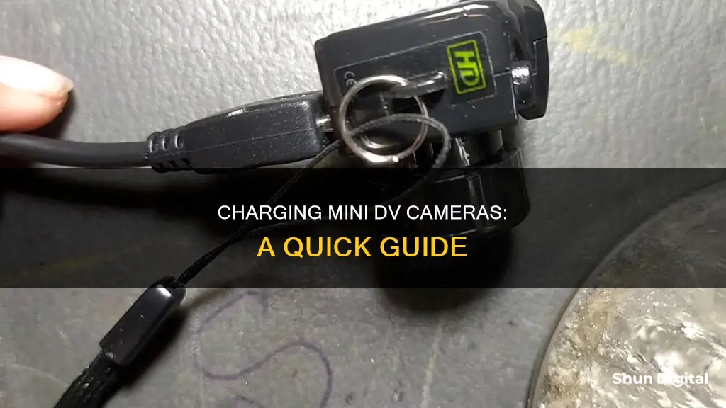 how to charge mini dv camera