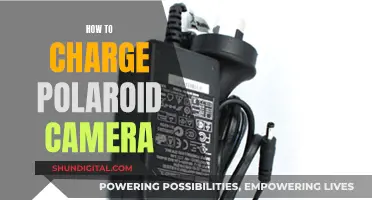 Charging Your Polaroid: A Step-by-Step Guide to Powering Up