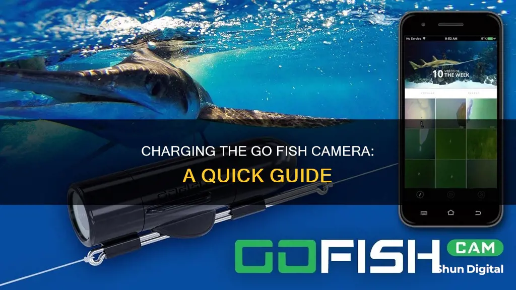 how to charge the go fish camera