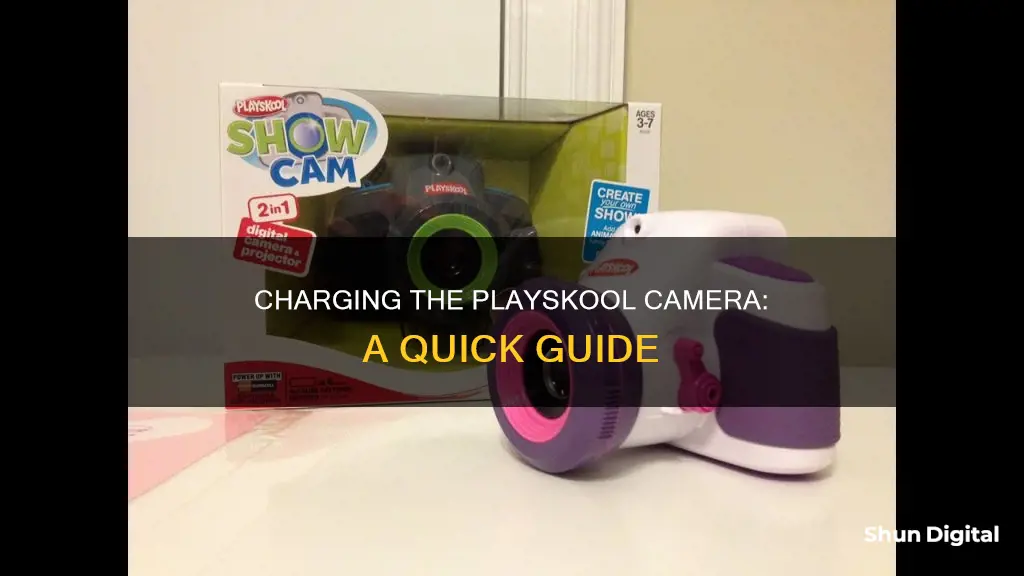 how to charge the playskool camera