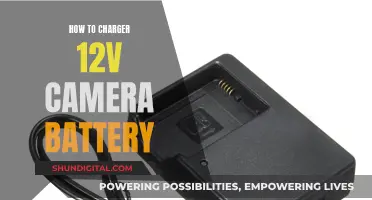 Charging 12V Camera Batteries: A Step-by-Step Guide