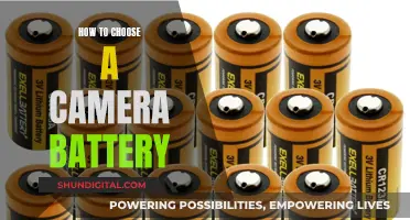 Choosing the Right Camera Battery: Maximizing Power