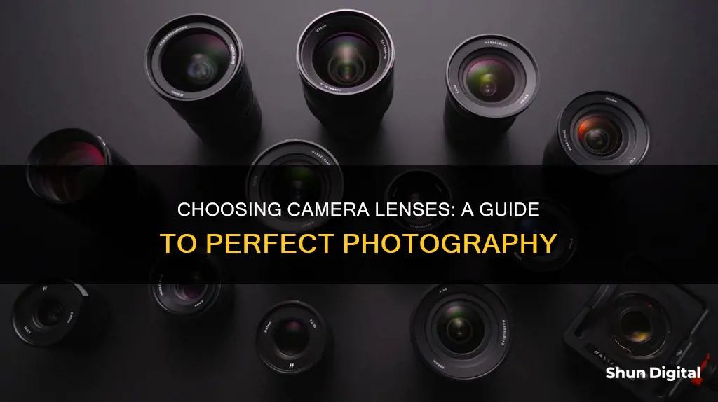 how to choose a camera lense