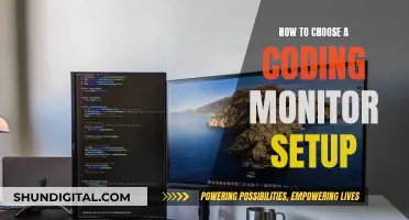 Choosing a Monitor Setup for Coding: A Guide