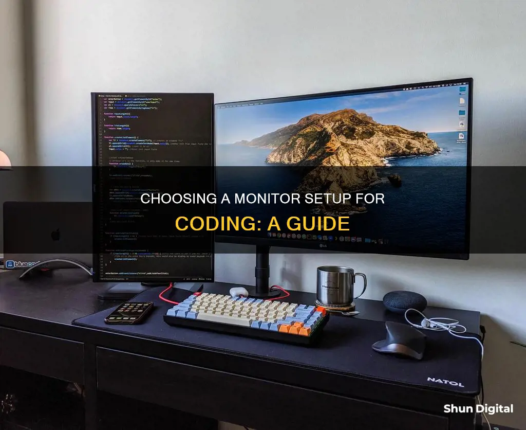 how to choose a coding monitor setup