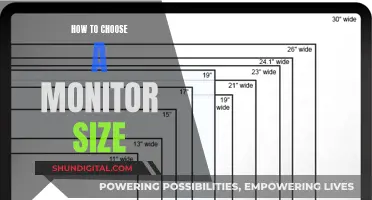 Choosing the Right Monitor: Size Considerations