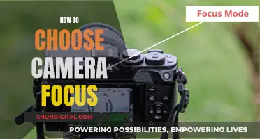 Focusing on the Right Things: Choosing Your Camera Focus