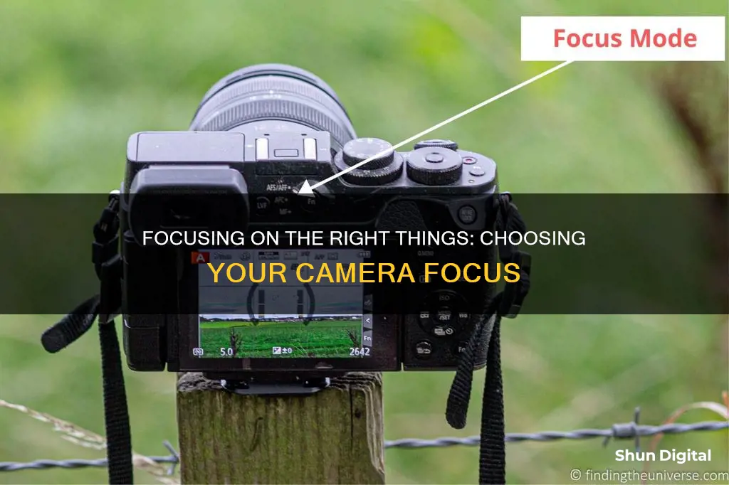 how to choose camera focus