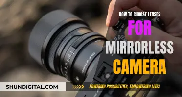 Choosing Lenses for Your Mirrorless Camera: A Quick Guide