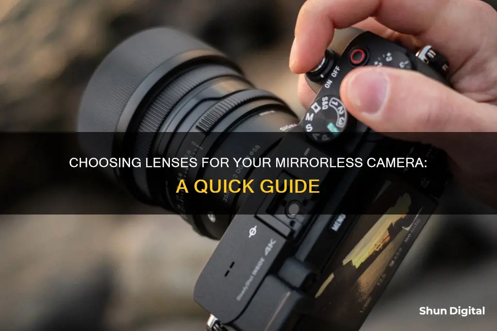 how to choose lenses for mirrorless camera