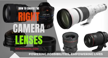 Choosing Camera Lenses: A Guide to Perfect Photography